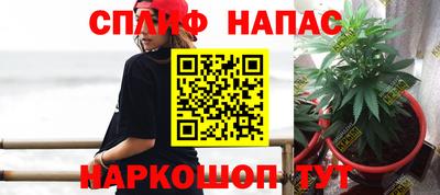 герыч Ставрополь