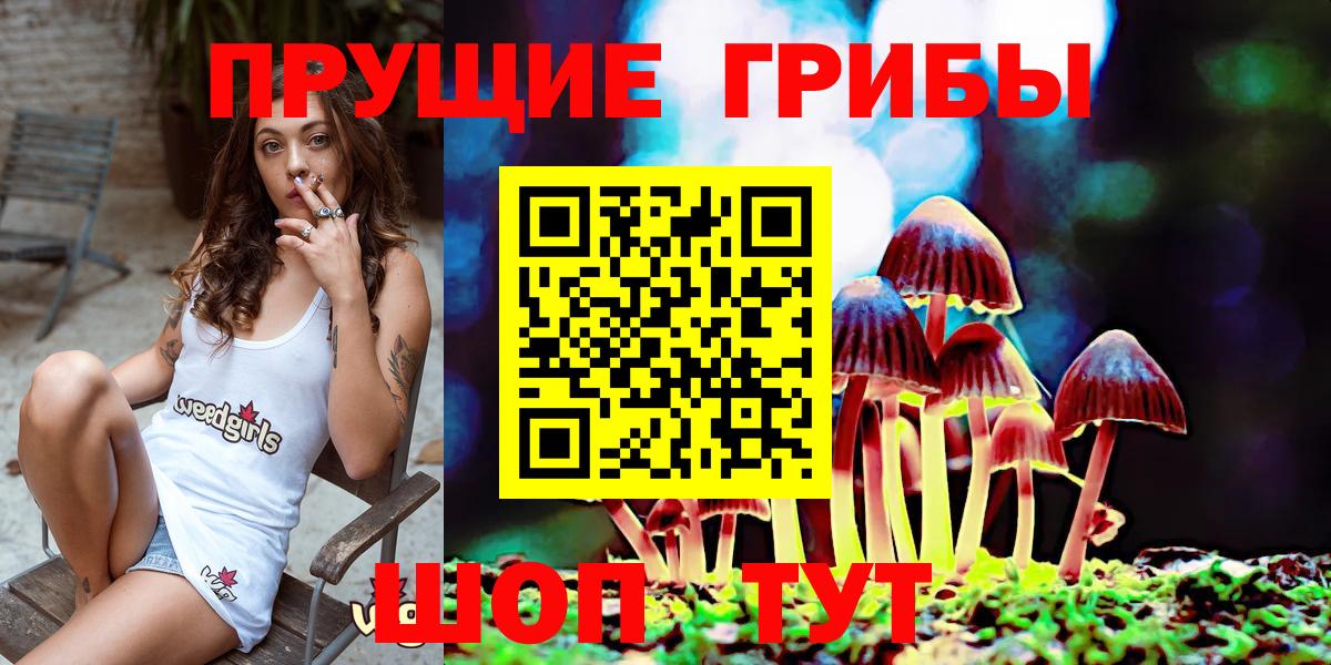Галлюциногенные грибы мухоморы  Галлюциногенные грибы Psilocybe  Рославль  купить   Вход с VPN 