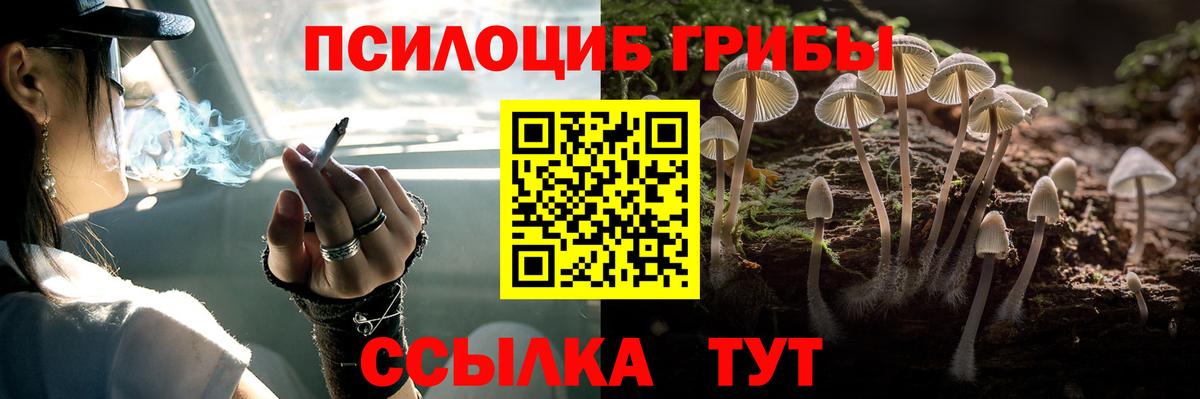 Псилоцибиновые грибы Psilocybine cubensis Рославль